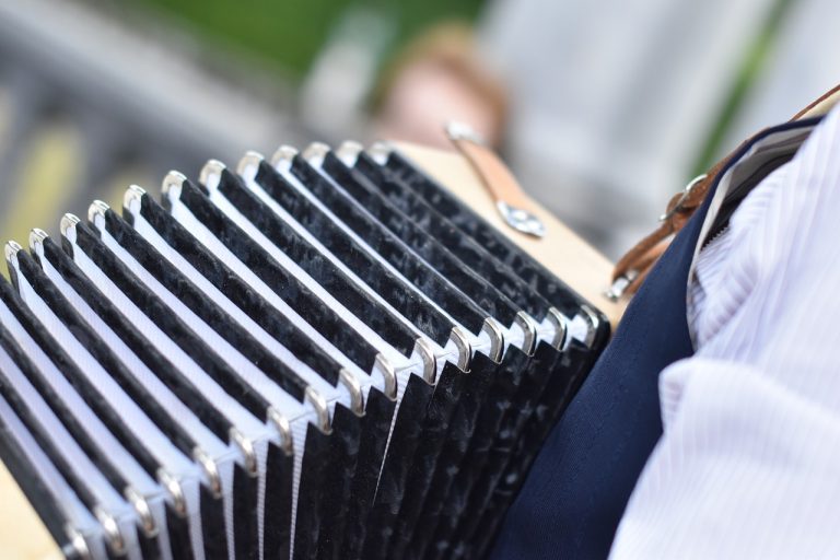How to pick the best Reed accordions Accordionists Central